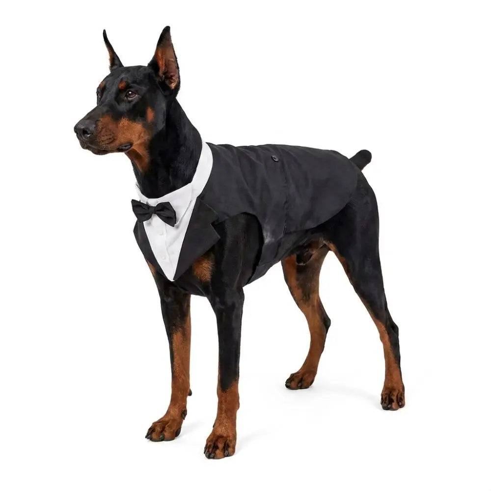Four Seasons Dog Business Suit Vest Set Cool Funny Close-fitting Dog Tuxedo Jacket Breathable Cool Pet Clothes For Pet S To 2XL