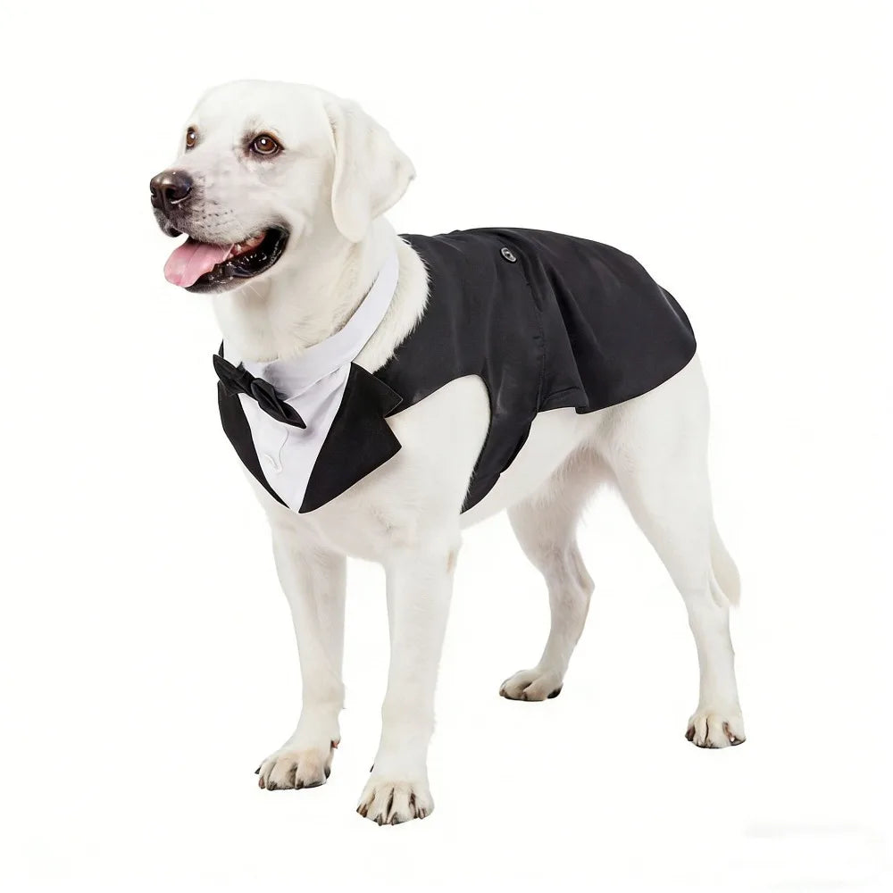 Four Seasons Dog Business Suit Vest Set Cool Funny Close-fitting Dog Tuxedo Jacket Breathable Cool Pet Clothes For Pet S To 2XL