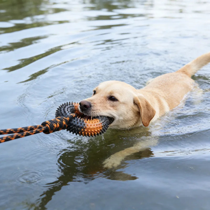 Spiked Ring & Rope Knot Tug Toy for Large Dogs: Interactive Chew for Golden Retrievers, Durable Pulling Game for Boredom Relief