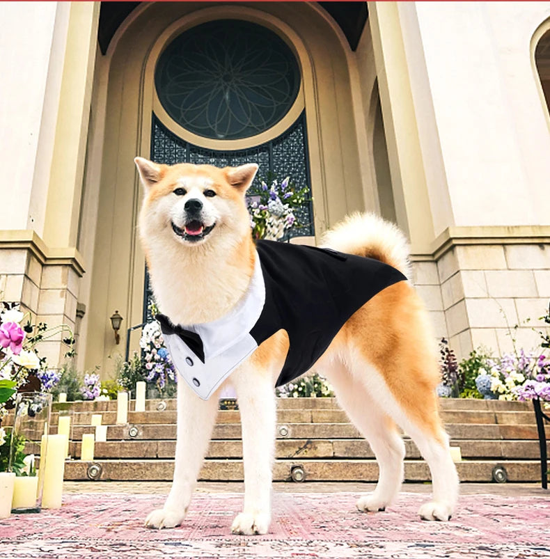 Dog Tuxedo Dog Suit and Bandana Set, Dogs Tuxedo Wedding Party Suit, Dog Prince Wedding Bow Tie Shirt Formal Dog Wedding Attire