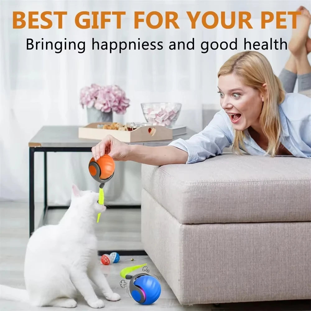 Cats Interactive Ball Toys Automatic Rolling Ball with Faux Tail USB Rechargeable SmartElectric Pet Toy for Teaser and Training