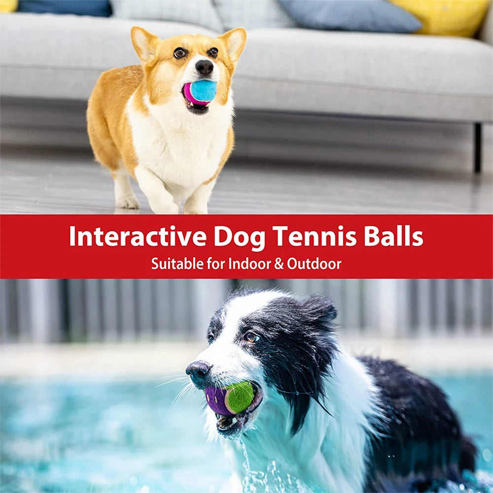 Pet Dog Squeaky Tennis Ball Interactive Dog Toys High Bounce Sound Rubber Ball  for Dogs Training Outdoor Play Ball Puppy Gift