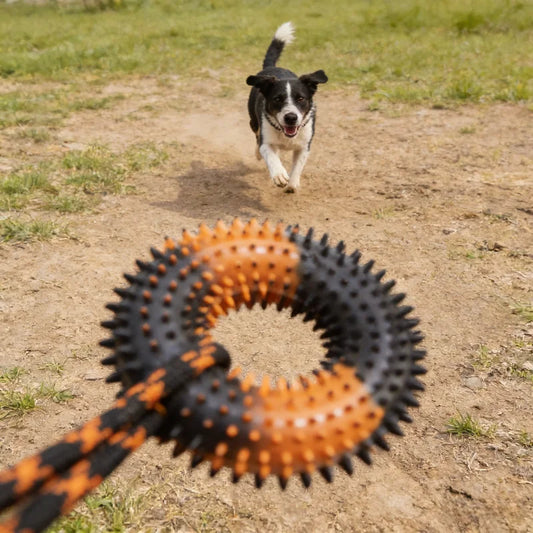 Spiked Ring & Rope Knot Tug Toy for Large Dogs: Interactive Chew for Golden Retrievers, Durable Pulling Game for Boredom Relief